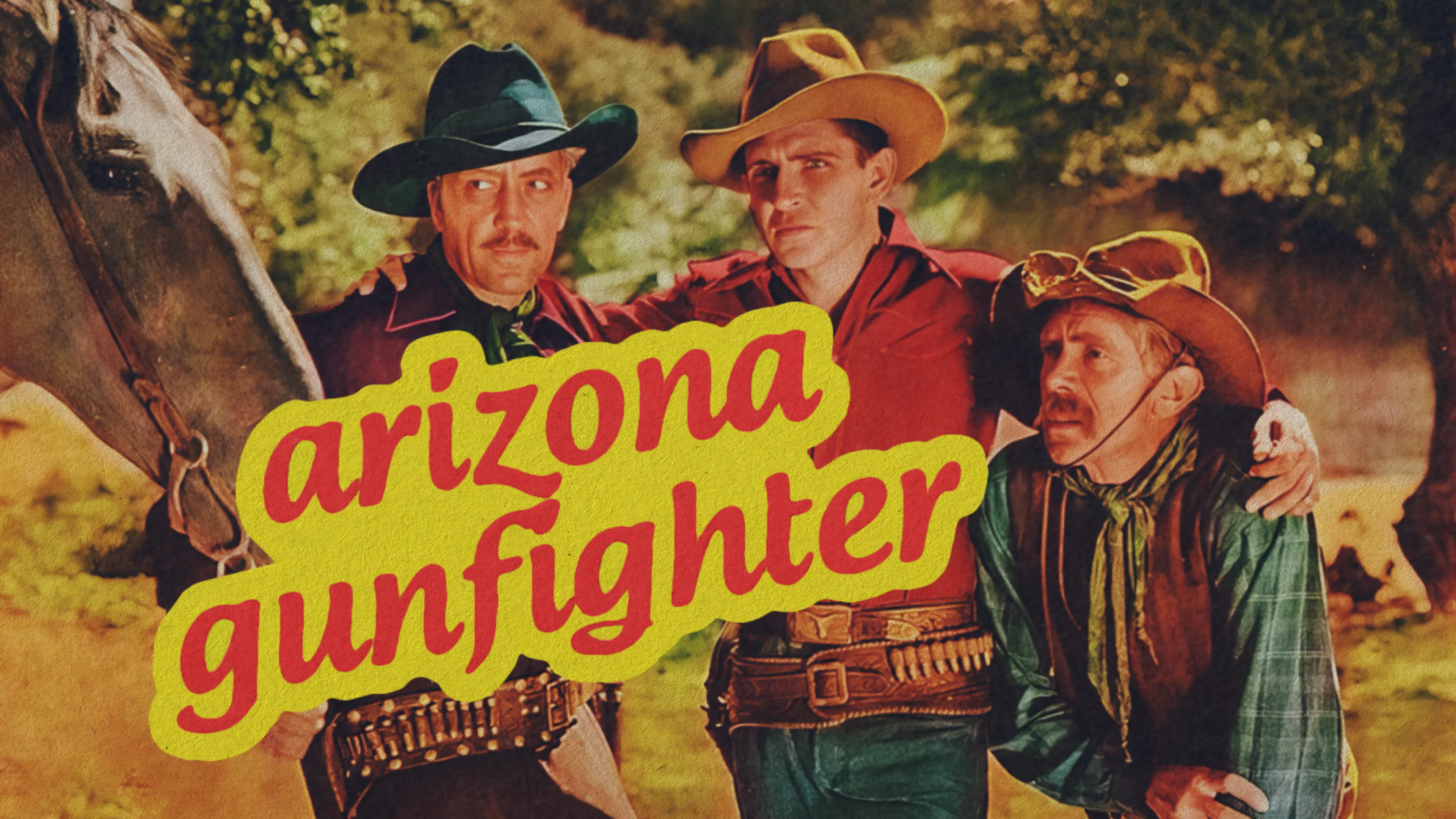 Arizona Gunfighter poster